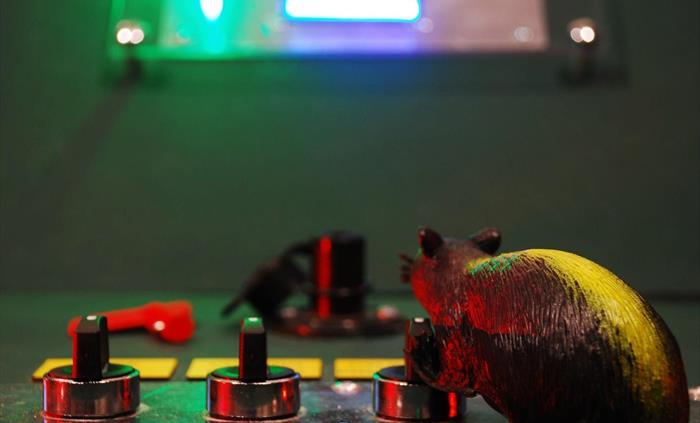 A toy rat is pictured holding a switch on a control panel.